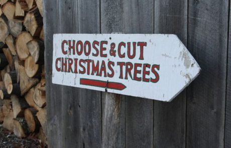 Sign to Choose and Cut Christmas Trees